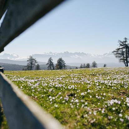 Willkommen am Tschögglberg in Südtirol