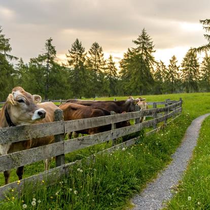 Vier kleine dorpen met veel traditie