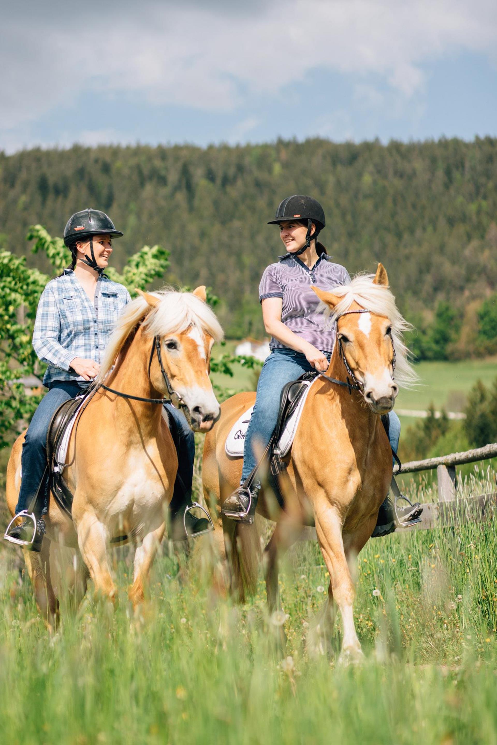 -tv-hafling-voeran-meran-2000-benjamin-pfitscher-2023-sommer-reiten-58