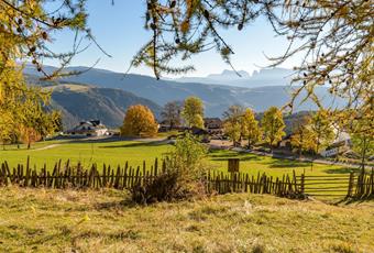 Monitoring Report Tschögglberg