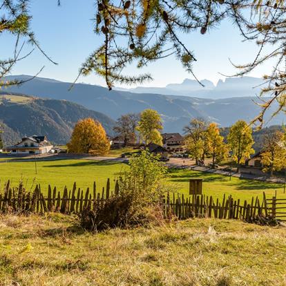 Monitoringsrapport Tschögglberg
