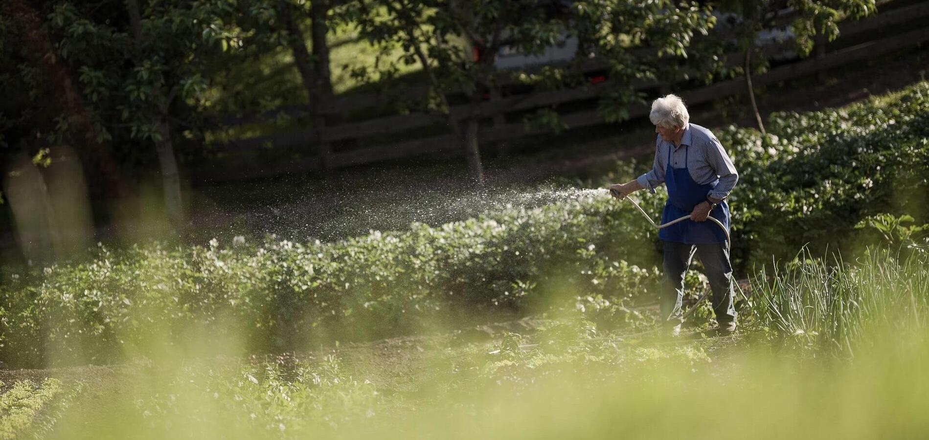 Congratulations to the Hotel Oberwirt in Vöran